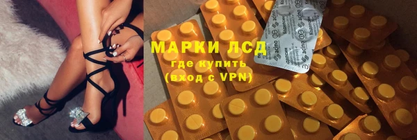 ГАЛЛЮЦИНОГЕННЫЕ ГРИБЫ Кулебаки
