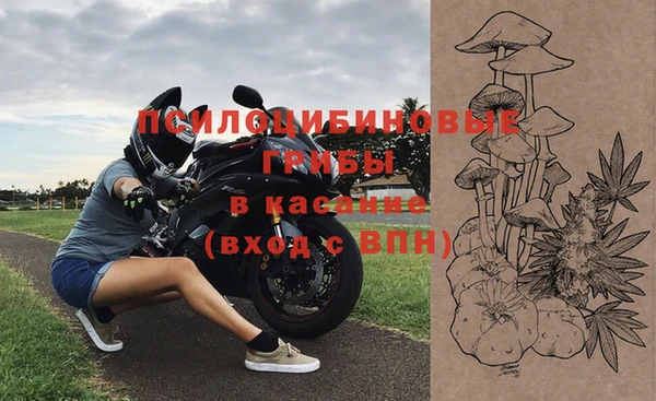 стафф Кукмор