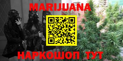стаф Новодвинск