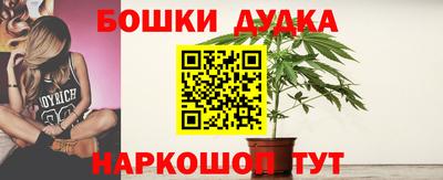 стаф Новодвинск