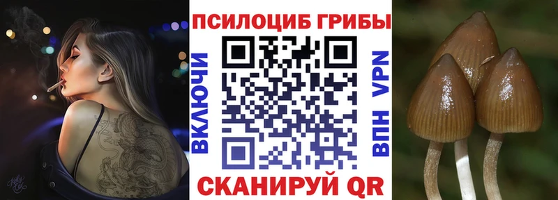 гидра зеркало  нарко площадка состав  Моршанск  Псилоцибиновые грибы мухоморы  купить наркотики сайты 
