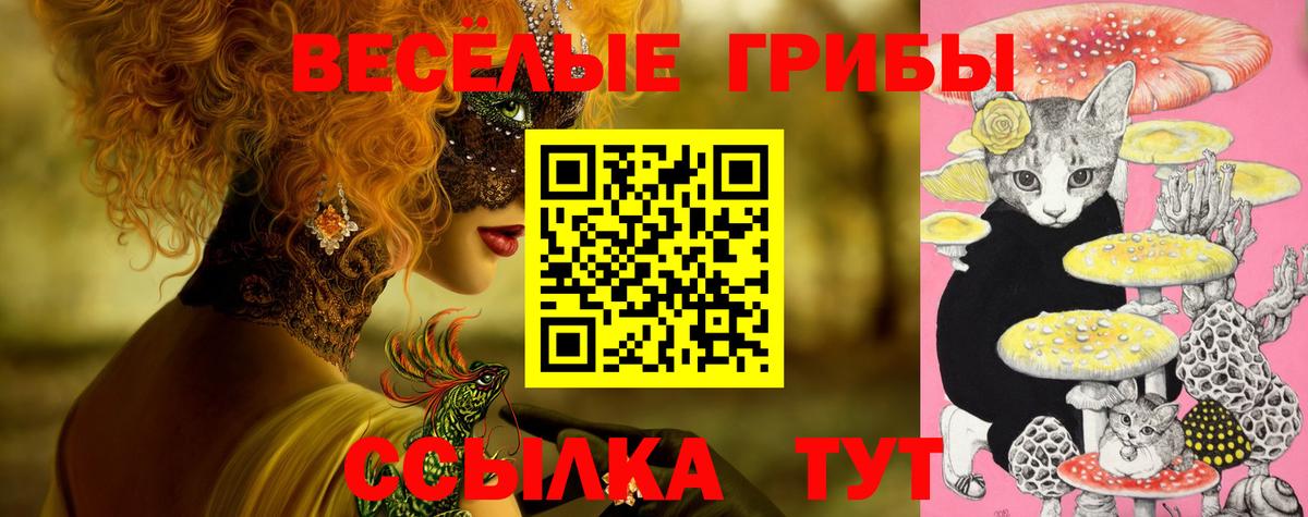 Псилоцибиновые грибы мицелий  Вход с VPN  Моршанск  Галлюциногенные грибы прущие грибы 